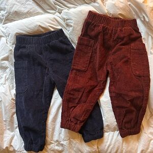 Patagonia Kids Corduroy Pant bundle